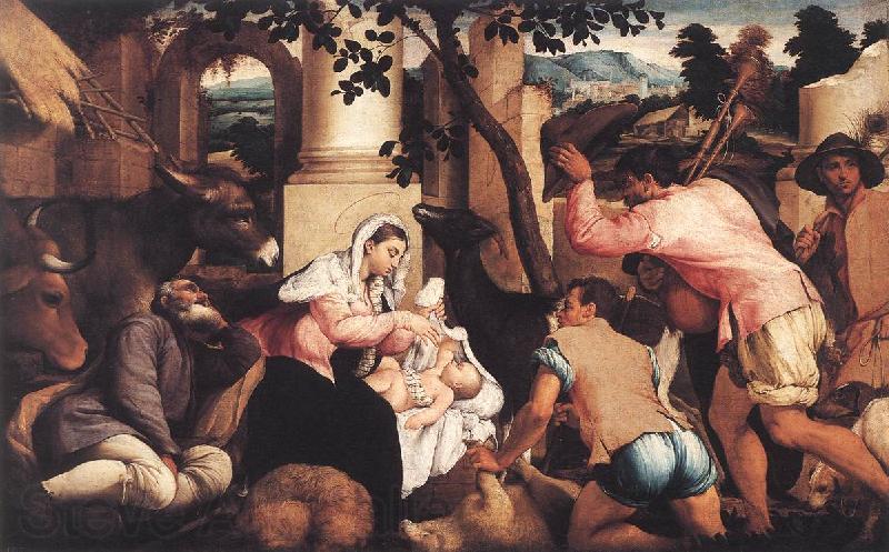 BASSANO, Jacopo Adoration of the Shepherds ss Germany oil painting art